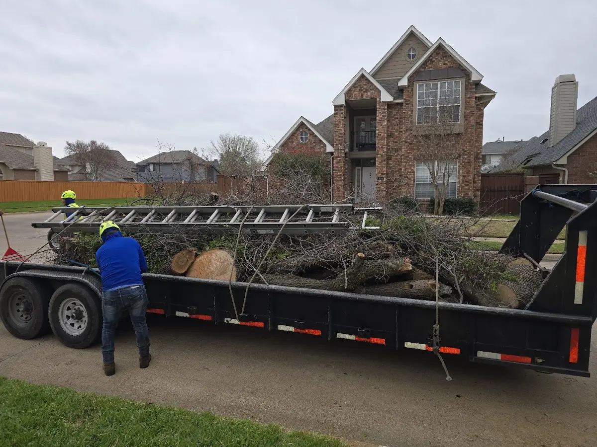 Expert Tree Fertilization with proper safety equipment in Shelby